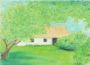 <img300*0:stuff/cia%27s%20portfolio%20%20home.jpg>