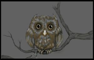 <img300*0:http://elftown.heddate.com/stuff/cias%20cute%20owlette.jpg>