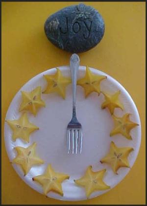 <img300*0:http://elftown.heddate.com/stuff/cias%20star%20fruit.jpg>