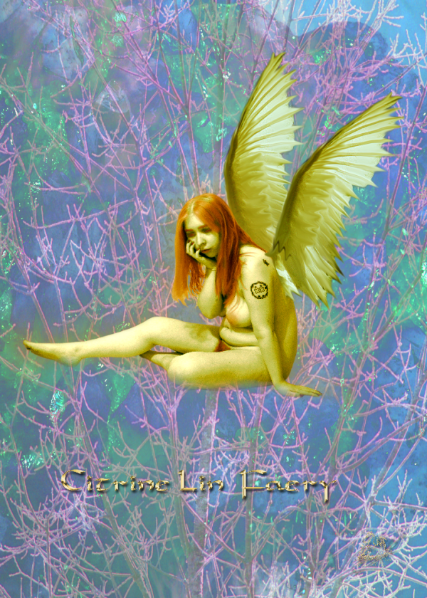 <img600*0:stuff/citrinelinfaepuzzle.png>