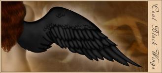 <img:stuff/coalblackwingsforLami.jpg?y=150>