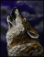 <img150*0:stuff/coloredwolvf.jpg>