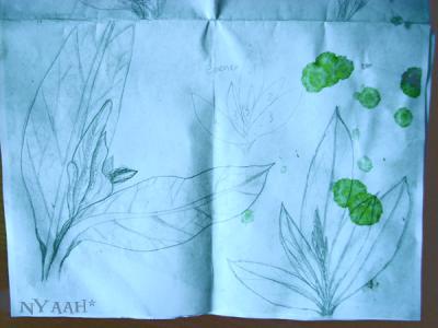 <img400*0:stuff/cribble_skribble.jpg>
