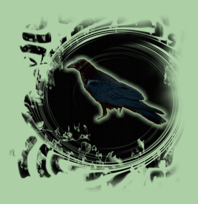 <img:stuff/crow1.jpg>