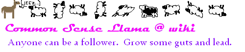 <img:http://elftown.heddate.com/stuff/cslbanner_1.gif>