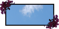 <img200*0:stuff/customskyban.png>