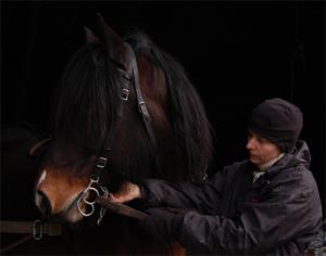 <img300*0:stuff/dackehelen.jpg>