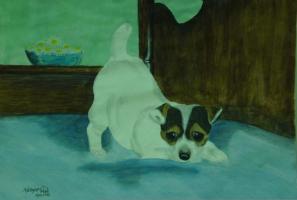 <img0*200:stuff/daisy_mixed12.jpg>
