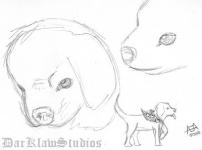 <img0*150:stuff/dar30d14.jpg>