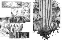 <img200*0:stuff/darag15.jpg>