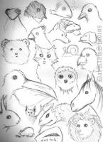<img0*200:stuff/darheads5.jpg>