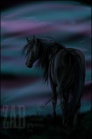 <img300*0:stuff/darkhorseinnight.jpeg.jpg>