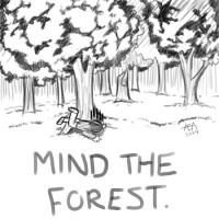 <img200*0:stuff/darportmindforest.jpg>