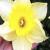 <img50*50:stuff/dela.garden.daf.jpg>