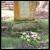 <img50*50:stuff/dela.lochlomond20.jpg>