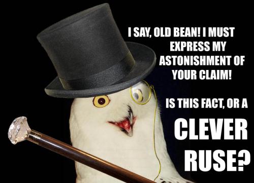 <img500*0:stuff/dela.orlyamusingowl.jpg>