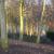 <img50*50:stuff/dela.photography.2006.ivyfence.jpg>