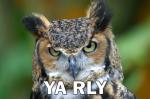 <img150*0:stuff/dela.ya.rly.jpg>