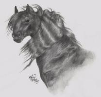 <img0*200:stuff/dellenfellblack_132167987463131.jpg>