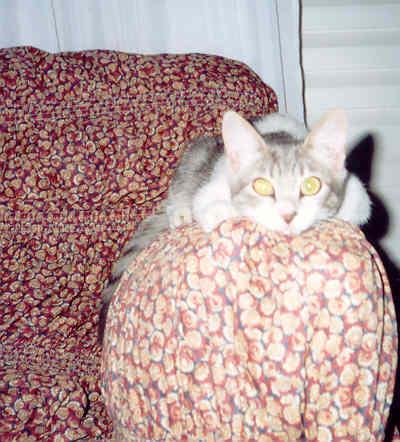 <img:stuff/denny2.jpg>