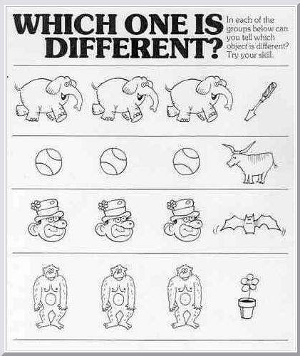 <img:stuff/different.jpg>