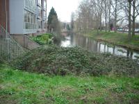 <img0*150:stuff/ditch.jpg>