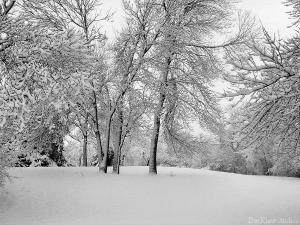 <img300*0:stuff/dks_tistheseason.jpg>