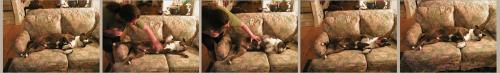 <img500*0:stuff/doggy%20lovin.jpg>