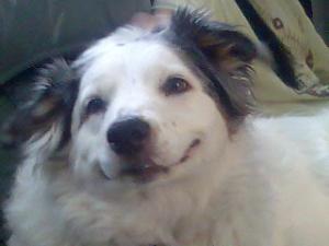 <img300*0:stuff/dopeySmudge.jpg>