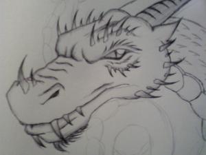<img300*0:stuff/dragon_head._not_finished.jpg>