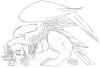 <img100*0:stuff/dragune.jpgS.jpg>