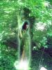 <img0*100:stuff/dryad_woods.jpg>