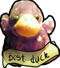 <img:stuff/duck.jitter.gif>