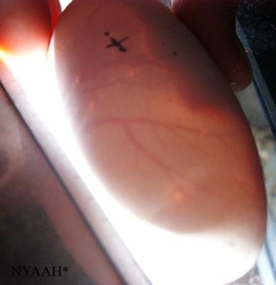 <img400*0:stuff/durchleutet2.jpg>