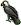 <img:stuff/eagle%20copy.gif>