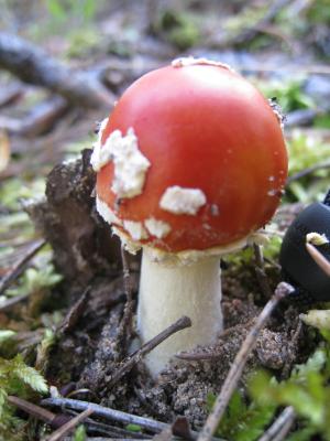 <img300*0:stuff/easterling_autumn22.jpg>