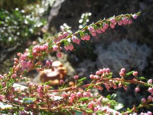<img300*0:stuff/easterling_autumn24.jpg>