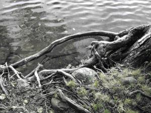 <img300*0:stuff/easterling_autumn3.jpg>