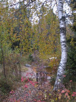<img300*0:stuff/easterling_autumn4.jpg>