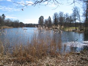 <img300*0:stuff/easterling_bjarkasaby13.jpg>