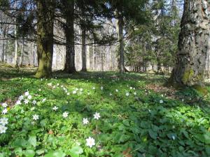 <img300*0:stuff/easterling_bjarkasaby19.jpg>