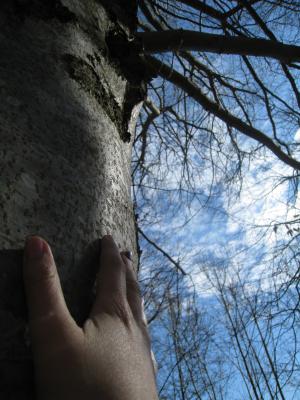 <img300*0:stuff/easterling_bjarkasaby22.jpg>