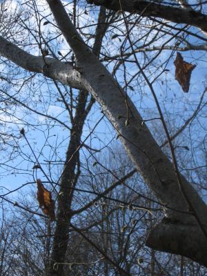 <img300*0:stuff/easterling_bjarkasaby25.jpg>