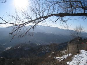 <img300*0:stuff/easterling_greatwall15.jpg>