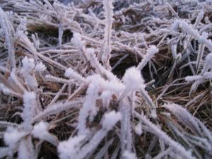 <img300*0:stuff/easterling_winter.jpg>