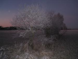 <img300*0:stuff/easterling_winter2.jpg>