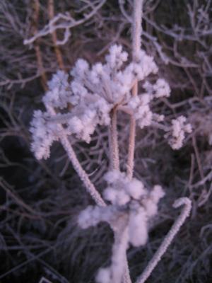 <img300*0:stuff/easterling_winter4.jpg>