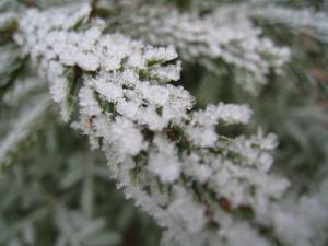 <img300*0:stuff/easterling_winter8.jpg>