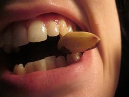 <img0*200:stuff/eating%2c_chewing%2c_nut%2c_teeth%2c_mouth.jpg>