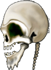 <img:http://elftown.heddate.com/stuff/eg_iy_skull1.gif>